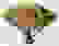 item-51328909=4
