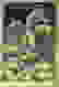 item-51329000=2