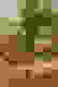 item-51329058=5