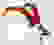 item-51329235=2