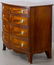 Early 19th C. Federal Bow-Front Chest - 3