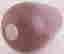 item-58521607=5