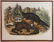 John J. Audubon, Mink, Hand Colored Litho