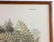 John J. Audubon, Mink, Hand Colored Litho - 4