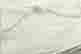 item-59505162=2