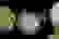 item-60117122=4