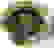 item-60157443=2