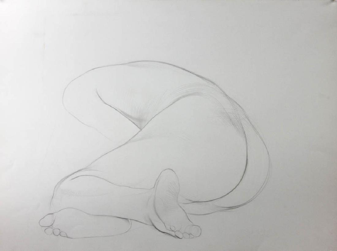 Philip Grausman, Nude, Pencil Drawing: Philip Grausman (American, b.1935), 'Nude', 1972, pencil on paper, signed and dated L/R, 22 1/4" x 30", unframed.