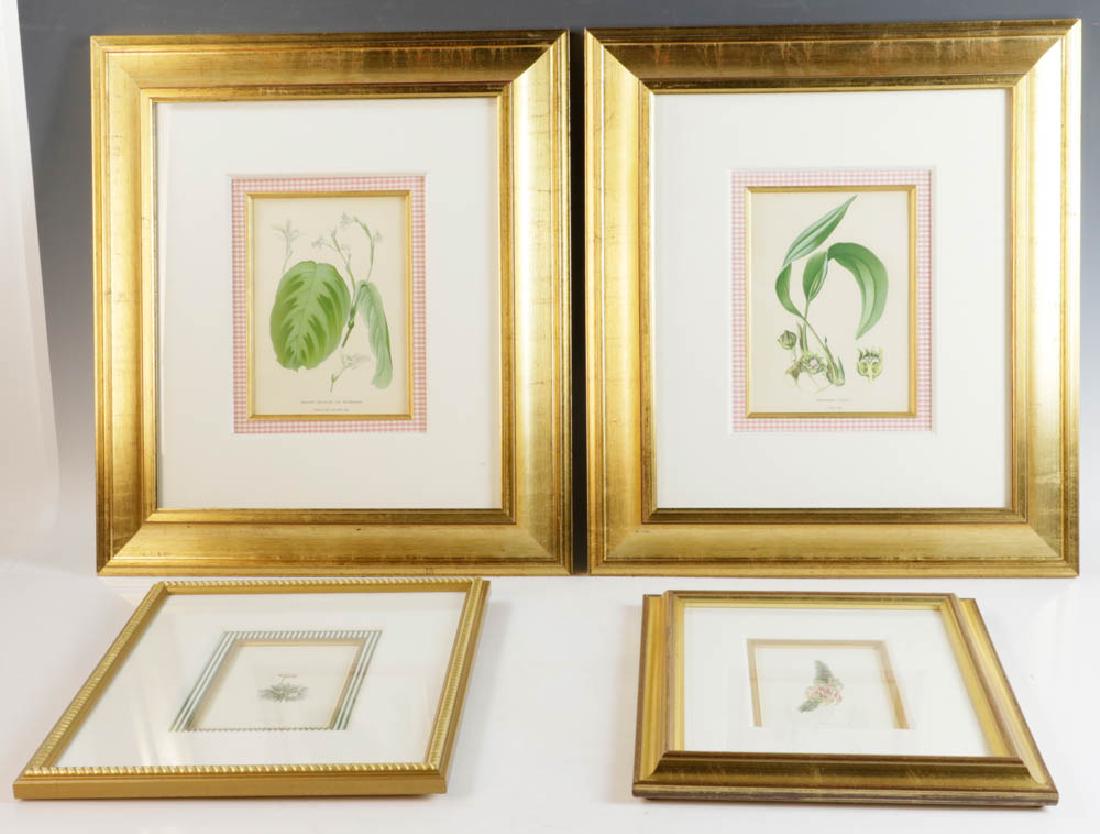Group of (4) Framed Botanical Prints (1 of 7)