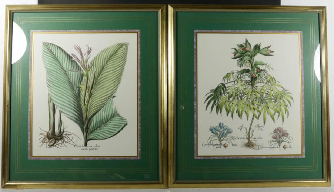 Pair of Custom Framed Botanical Prints (1 of 6)