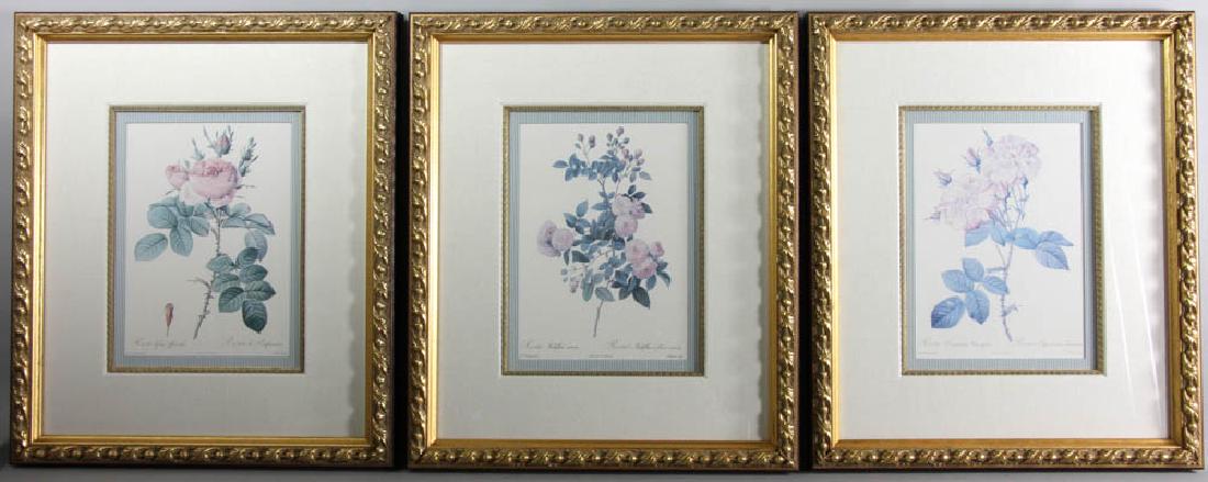Group of (3) Framed Botanical Prints (1 of 7)