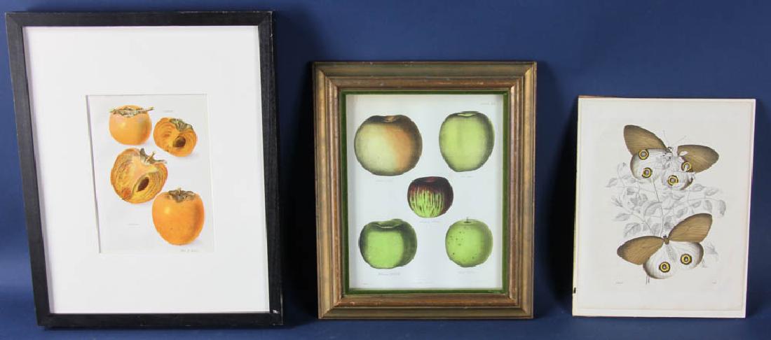 Three Miscellaneous Prints (1 of 1)