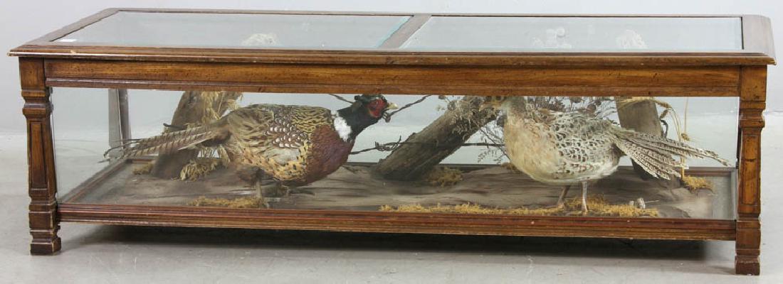 20thC Taxidermy Oak and Glass Coffee Table (1 of 5)