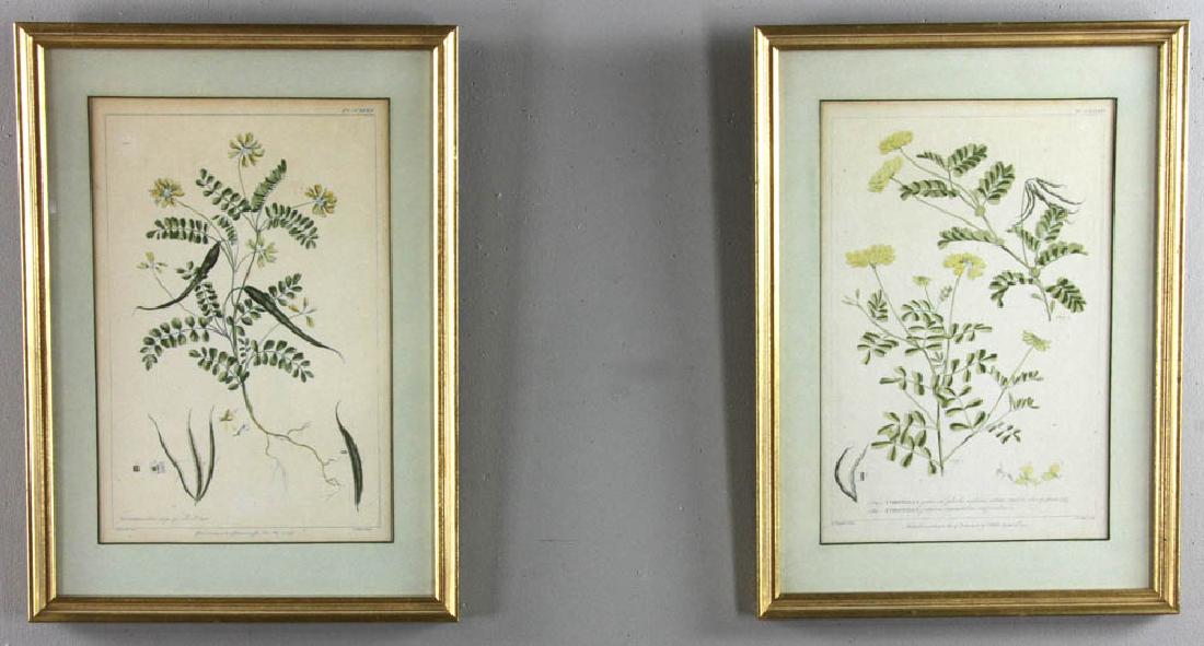 Pair of CA 1759 Botanical Engravings (1 of 8)