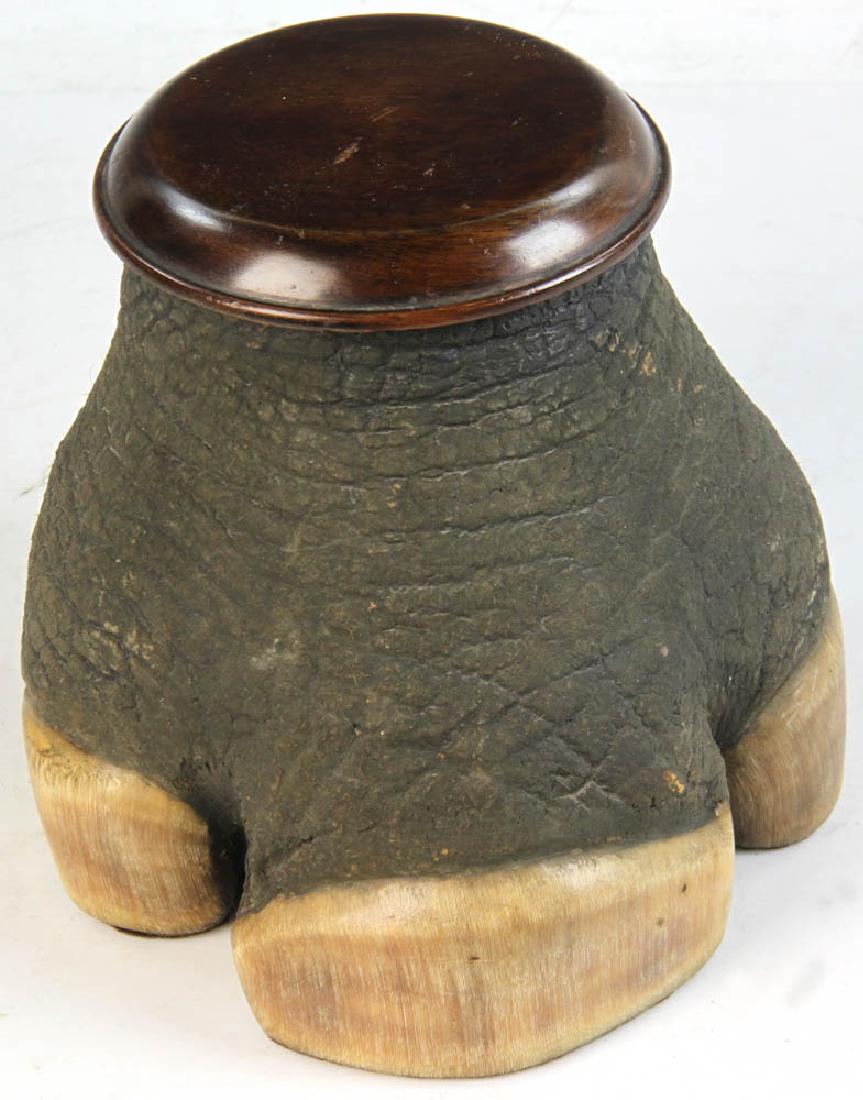 Elephant Foot Tobacco Container (1 of 6)