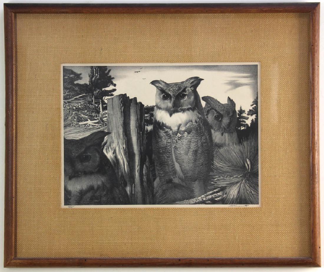 Stow Wengenroth, Stately Owls (1 of 5)