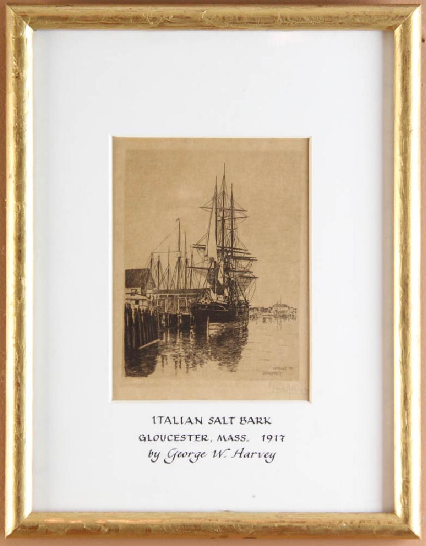 George Harvey, Italian Salt Bark, Gloucester (1 of 5)