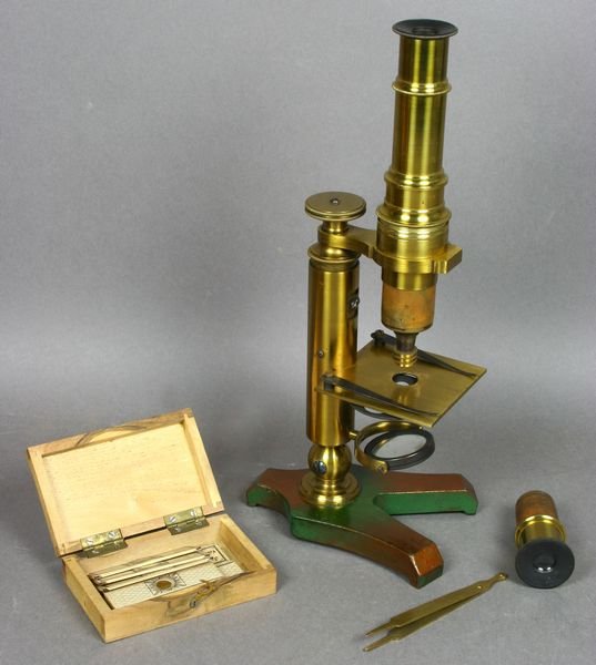 19th Century English Dolland & Co. Microscope - 2