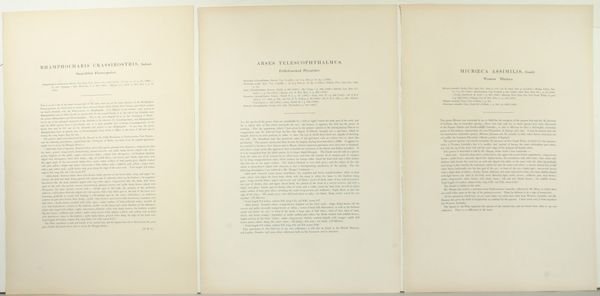 GOULD & HART, BIRDS (3), HC LITHO,C.1835 - 5