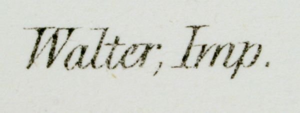 "Fuligula Marila", H.C. Richter (ca. 1875). - 3