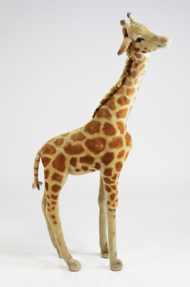 Steiff Giraffe: Steiff giraffe, button and tag in ear, store display size, 56" x 27". Provenance: From a 1600s house in Medford, Massachusetts.
