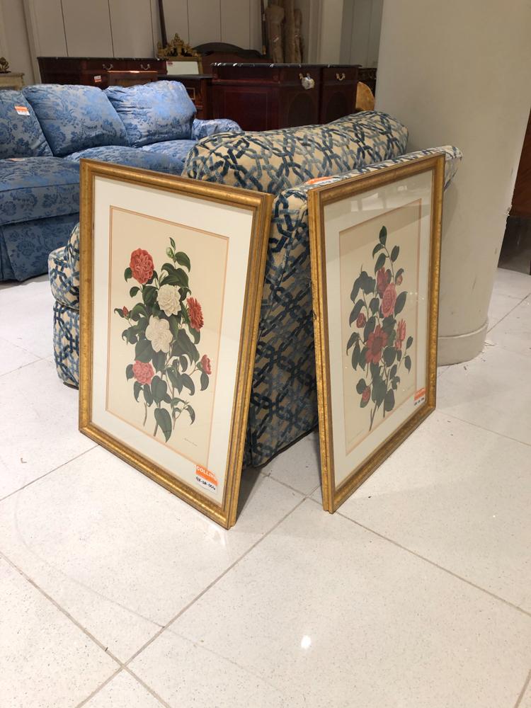 Pair of matted/framed floral prints. (1 of 1)