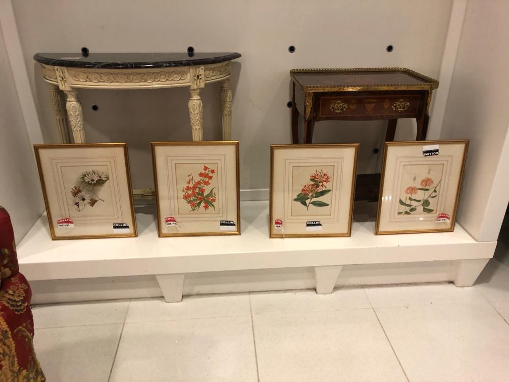 Four botanical prints, gold frame, 19x16. (1 of 1)