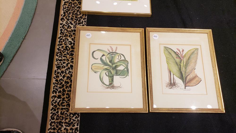 Pair of framed floral prints (1 of 1)