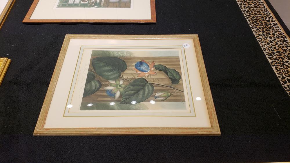 Framed floral print (1 of 1)