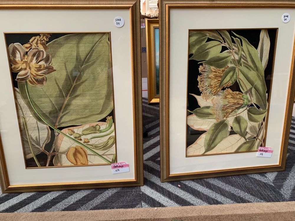 Pair of large framed prints depicting foliage (1 of 1)