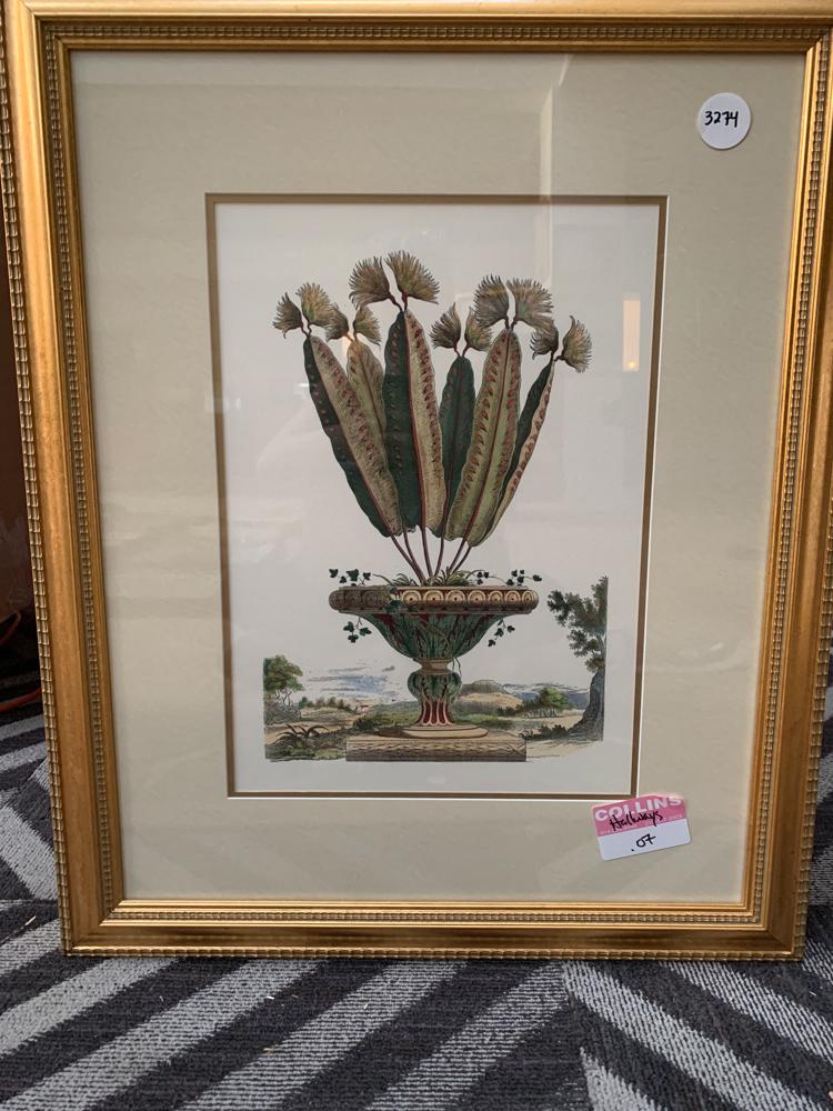 Large framed print depicting planter (1 of 1)
