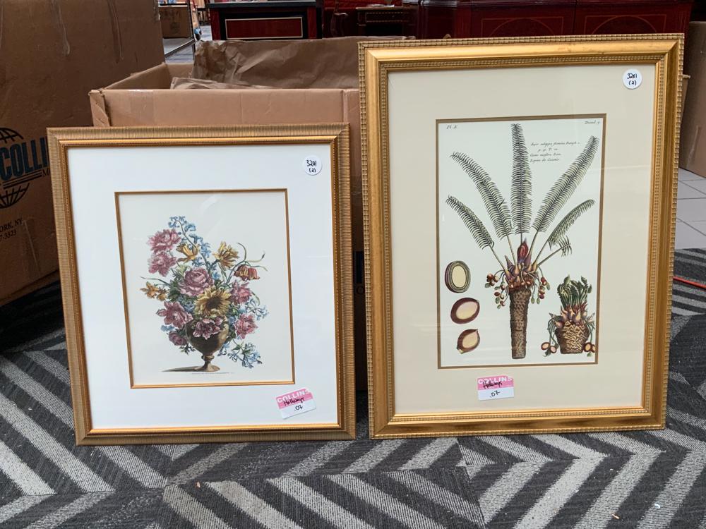 Lot of 2 large framed botanical prints (1 of 1)