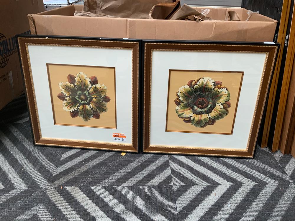 Pair of framed botanical prints (1 of 1)