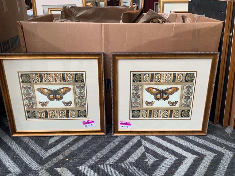 Pair of large framed prints of butterflies (1 of 1)