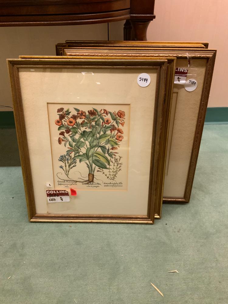 Lot of 6 framed French horticultural prints (1 of 1)