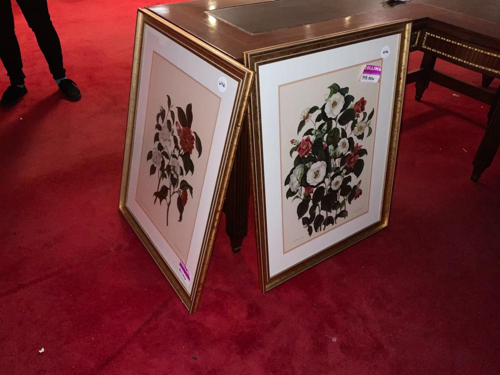 Lot of 2 framed floral prints (1 of 1)