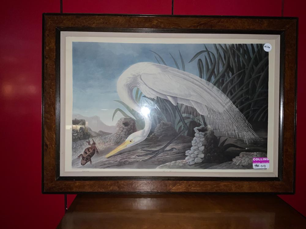 Audubon print of white heron (1 of 1)