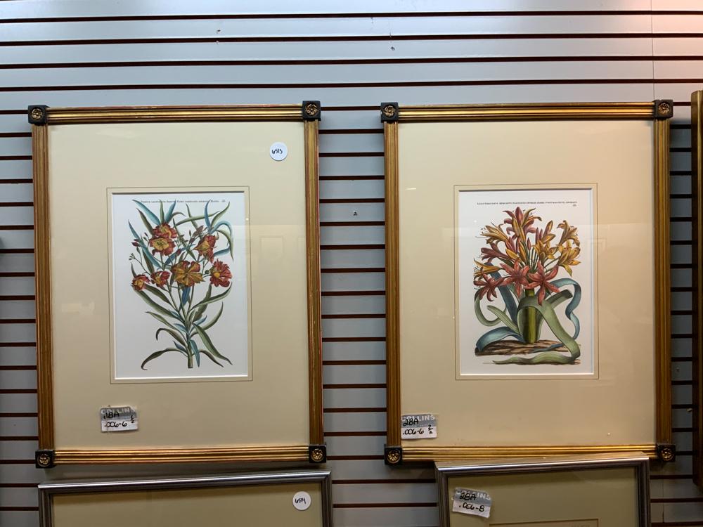 Lot of 3 French framed floral prints (1 of 1)