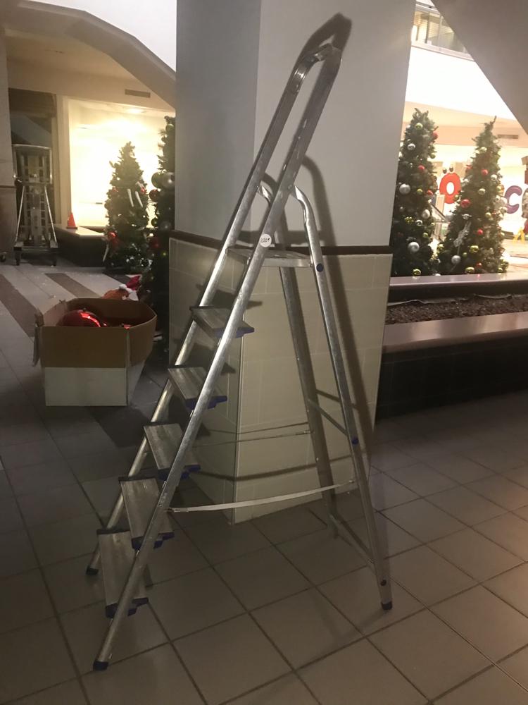 6 Ft Step Ladder: 6 Ft Step Ladder