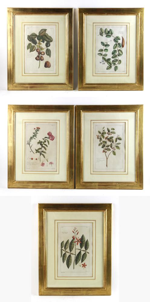 Hand Colored Engraving, W Mackenzie Circa 1880 (1 of 4)