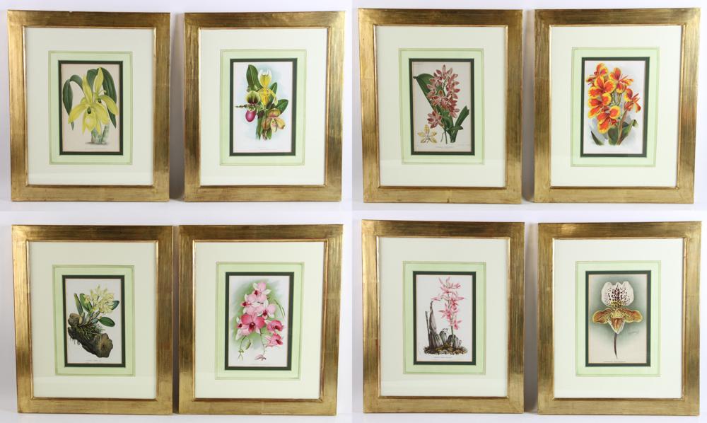 Set of Floral Lithographs, Horto Van Houheane (1 of 5)
