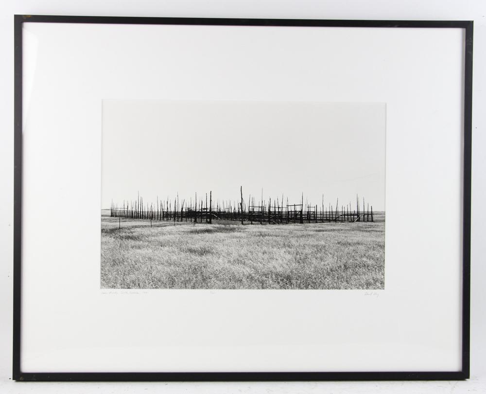 David Wing Photograph, Corral, South Dakota (1 of 6)