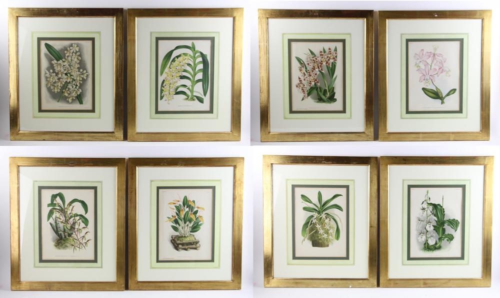 19th C Lithographs, G Putzys (1 of 10)