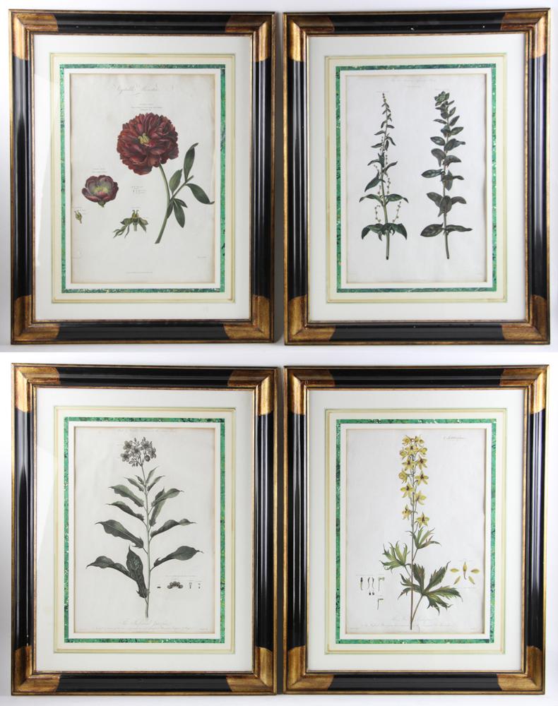 Hand Colored Engravings, Thornton, Caldwell (1 of 3)