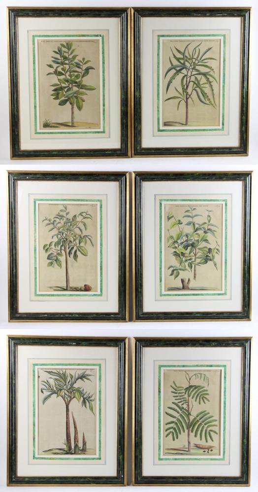 Early 19th C Hand Colored Botanical Engravings (1 of 20)