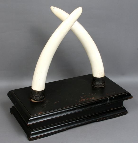 19th C. Pair of Ivory Tusks on Wooden Stand: 19th C. pair of ivory tusks on wooden stand, 15", with embossed silver sleeves. Good condition.