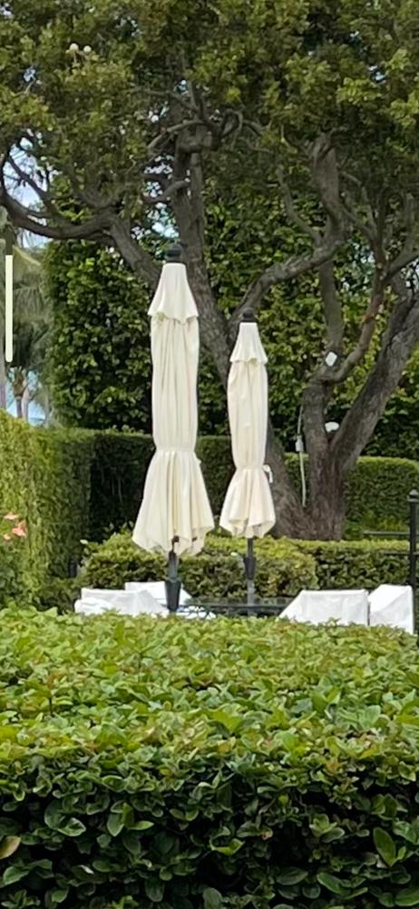 Garden Umbrellas (1 of 1)