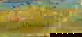 item-862233=2