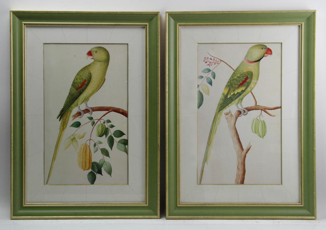 Pair of Prints of Green Parrots with Fruit (1 of 6)