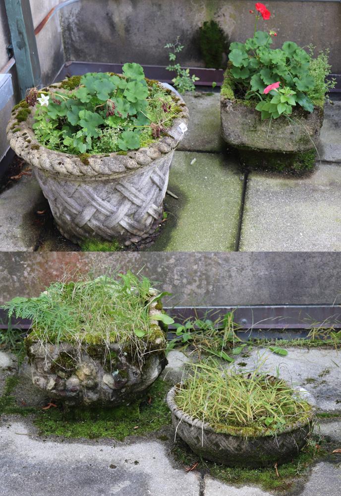 Grouping of Vintage Cement Planters (1 of 11)